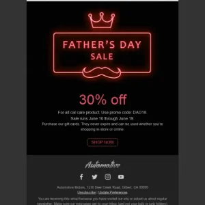 13342-stripo-transportation-car-holiday-newsletter-happy-fathers-day-neon-email-web-mw-1000-webp-5
