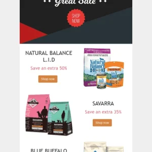 1419-stripo-pets-holiday-newsletter-cyber-monday-delicious-set-email-web-mw-1000-webp-7