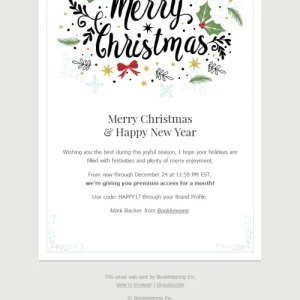 1426-stripo-finance-holiday-newsletter-christmas-sincere-congratulations-email-web-mw-1000-webp-5