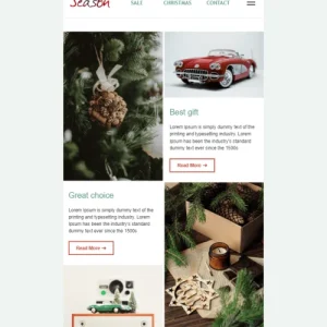 186705-stripo-gift-flowers-holiday-newsletter-shristmas-holiday-season-email-web-mw-1000-webp-7