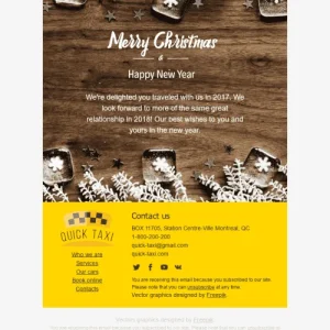 1880-stripo-transportation-holiday-newsletter-christmas-new-year-white-snowflakes-email-web-mw-1000-webp-6