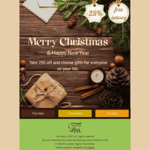 1906-stripo-beverage-coffee-holiday-newsletter-christmas-new-year-spicy-aroma-email-web-mw-1000-webp-7