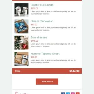 206857-stripo-gift-flowers-trigger-newsletter-confirmation-seasonal-order-email-web-mw-1000-webp-8