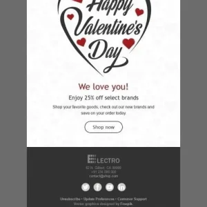 2528-stripo-gadgets-holiday-newsletter-happy-valentine-day-love-around-us-email-web-mw-1000-webp-4