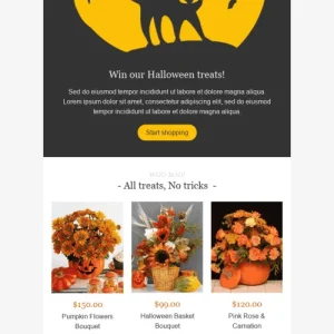 27459-stripo-gifts-flowers-holiday-newsletter-halloween-autumn-enchantment-email-web-mw-1000-webp-10