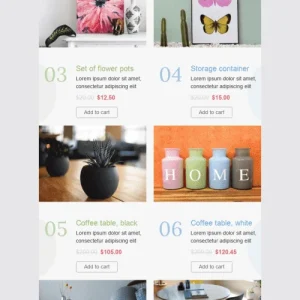 4573-stripo-furniture-home-decor-holiday-newsletter-womens-day-bright-spring-email-web-mw-1000-webp-6