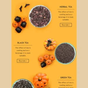596-stripo-beverage-coffee-holiday-newsletter-halloween-email-web-mw-1000-webp-10