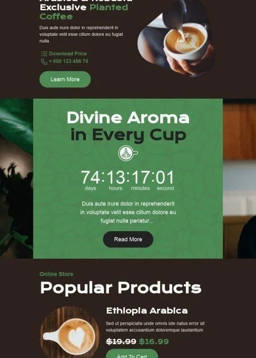 winter email template “arabica & robusta” for beverages industry