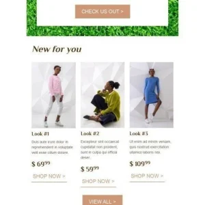 web-1171279-mw-1000-webp-11