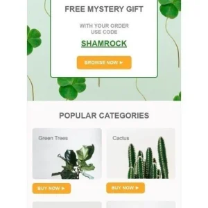 web-1215200-mw-1000-webp-10