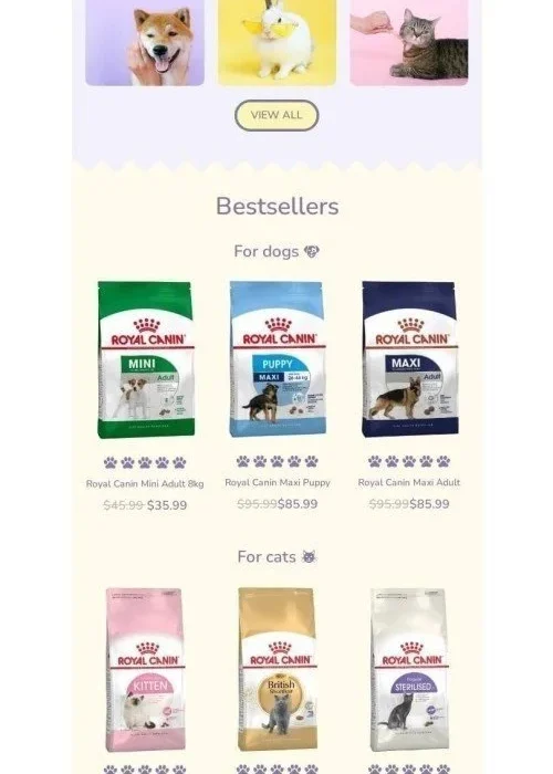 easter email template “easter bunny” for pets industry