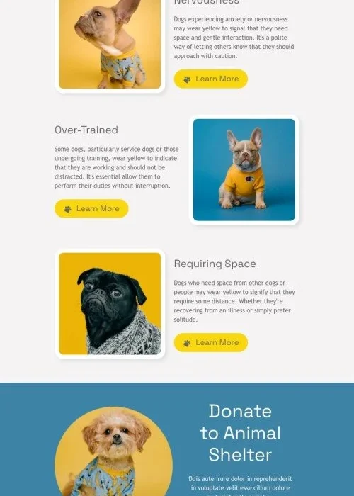 dogs in yellow day email template “understanding dogs in yellow” for pets industry